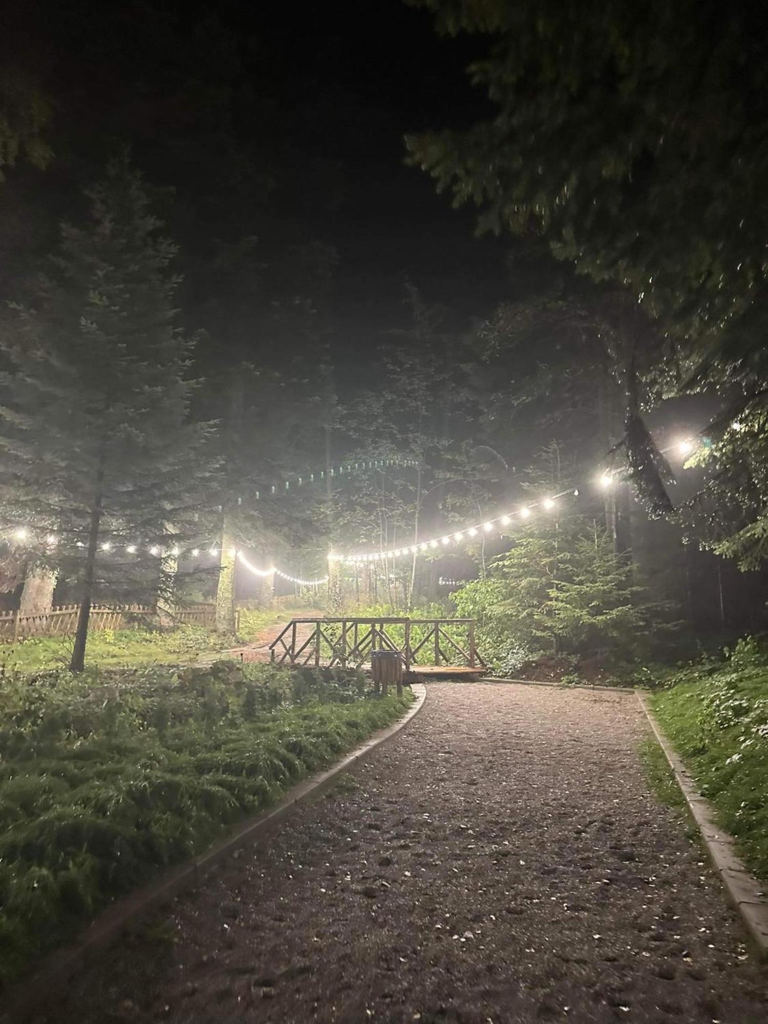 Cozy Riverside Pine Studio E5 โบโรเวทส์ ภายนอก รูปภาพ